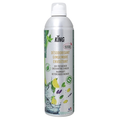 Picture of King air freshner ginger scent